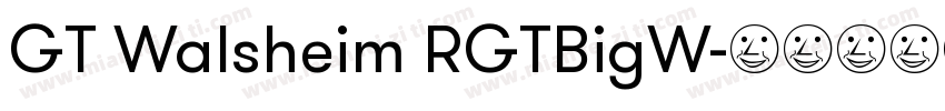 GT Walsheim RGTBigW字体转换